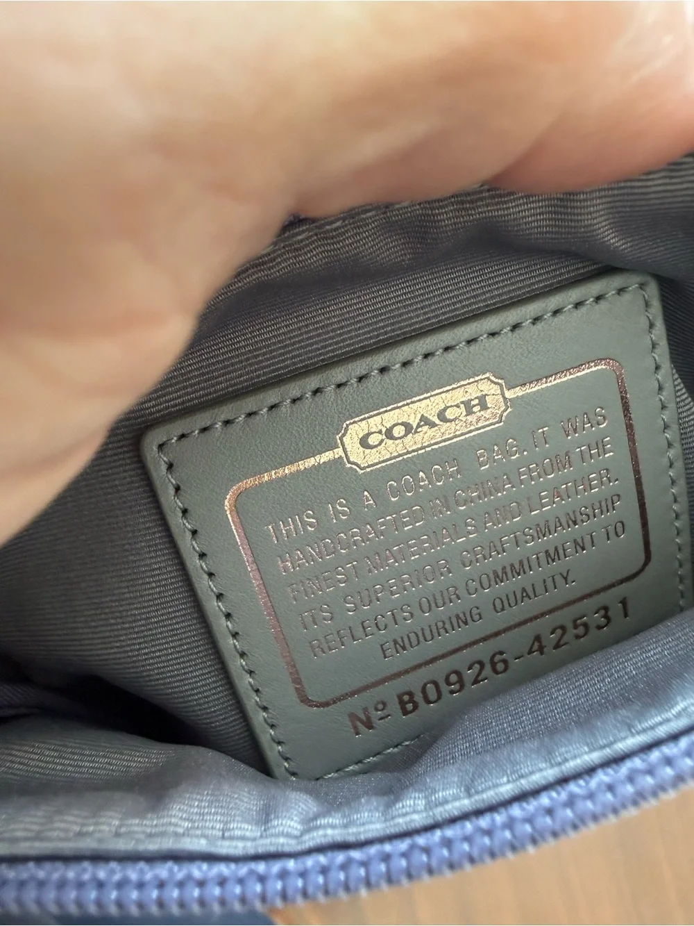 Coach Parker Y2K crossbody